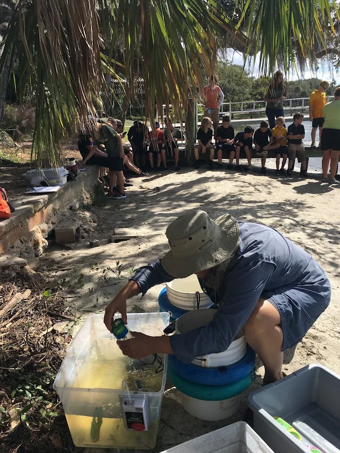Preparing dip-netting specimens for students during a science field trip